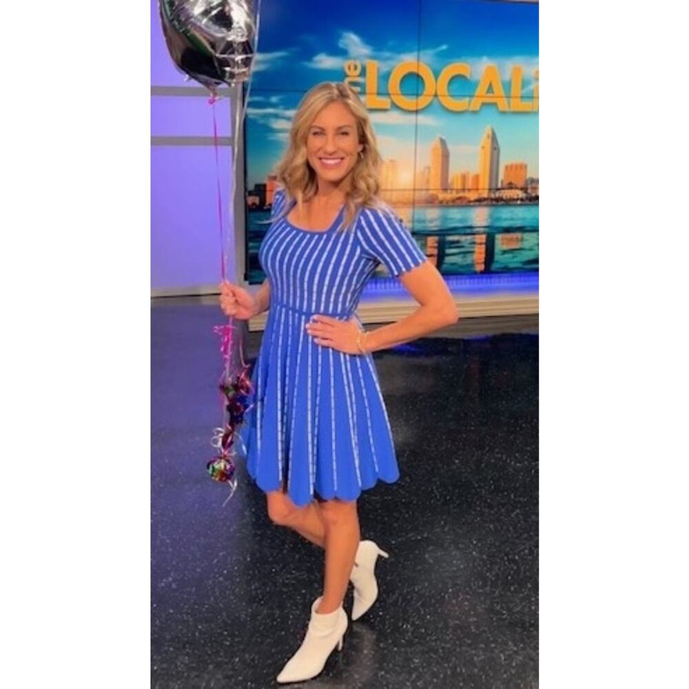 SHOSHANNA Blue White Striped Knit Hourglass Short Sleeve Arcadia Dress sz M